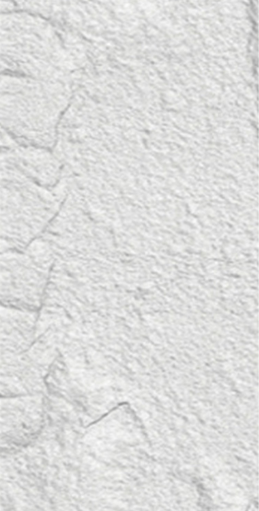 Stone skin pu002
