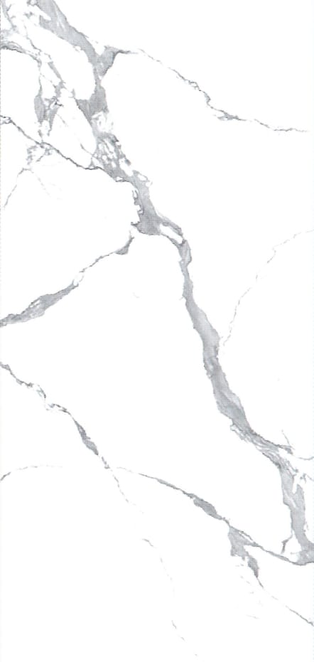D1005