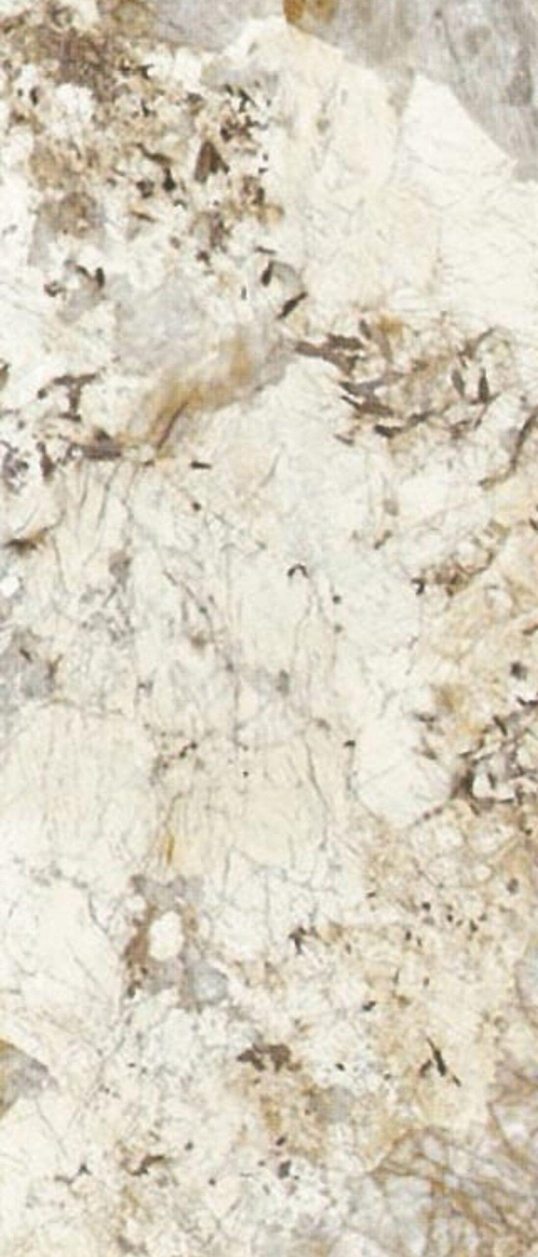 DY-1011