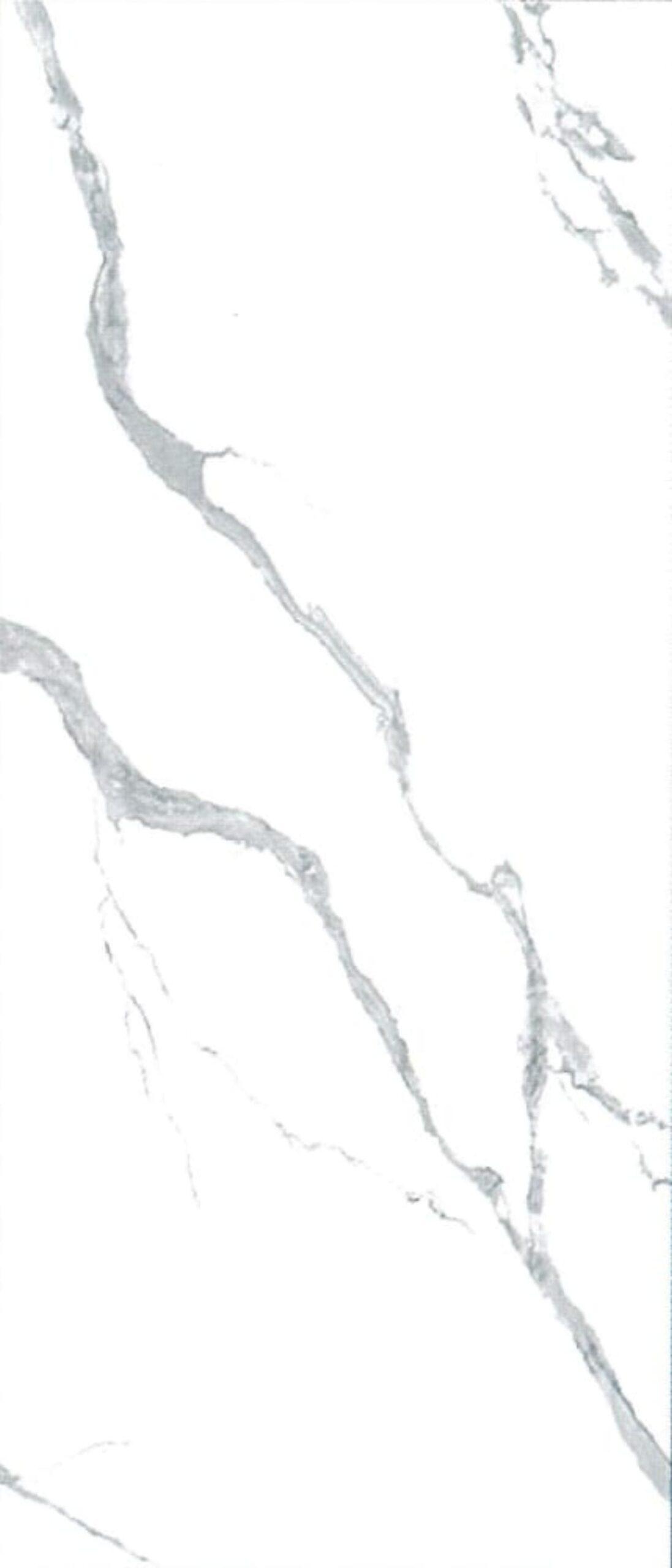 DY-2041