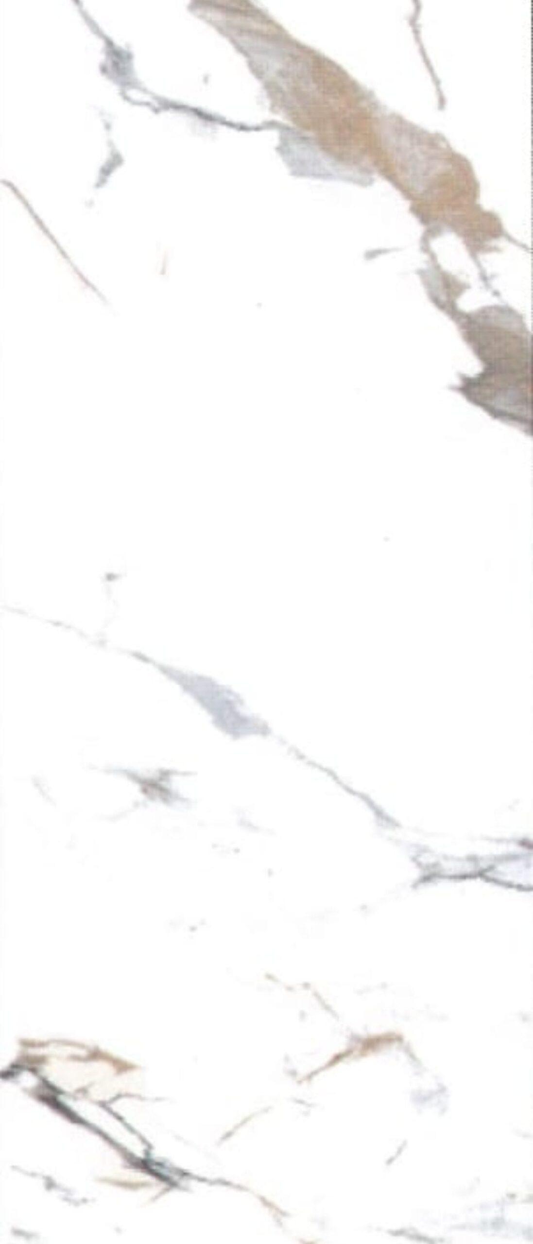 DY-3010