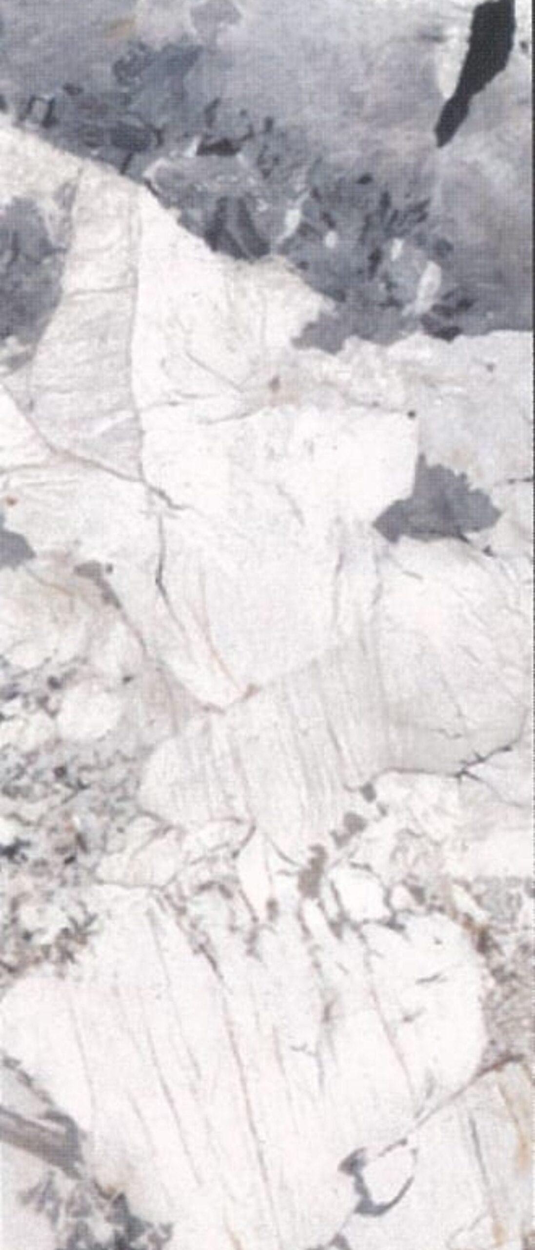 DY-3019