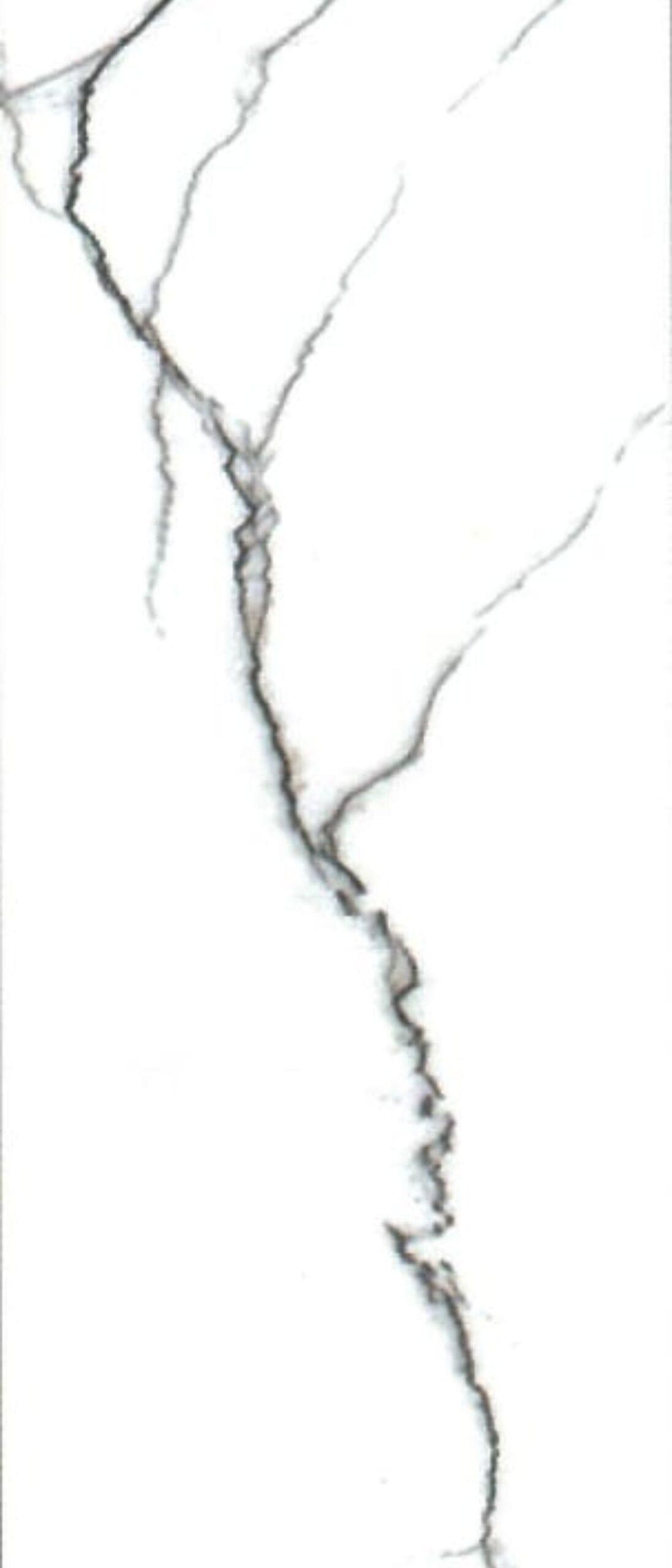 DY-3036