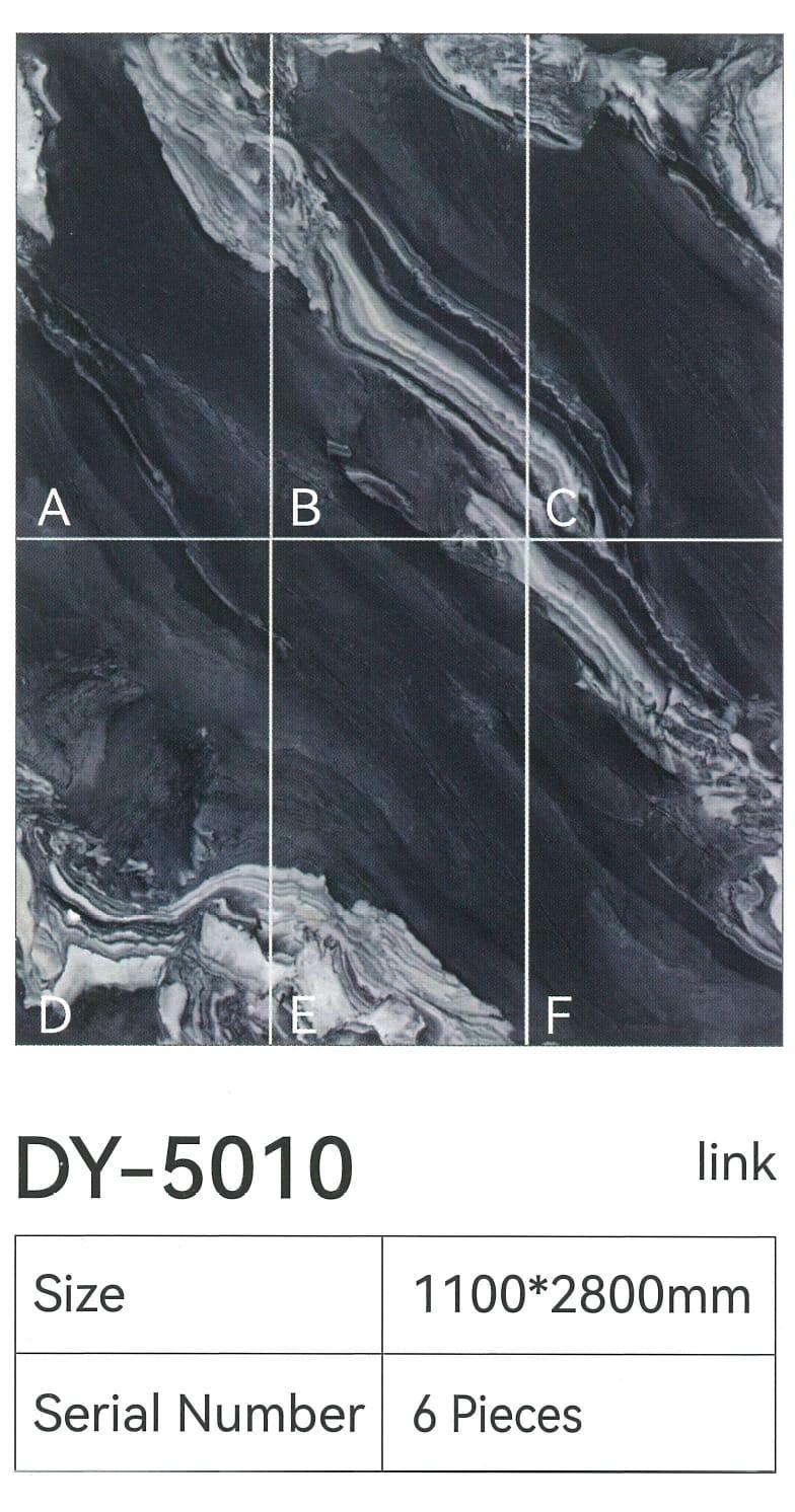 DY-5010