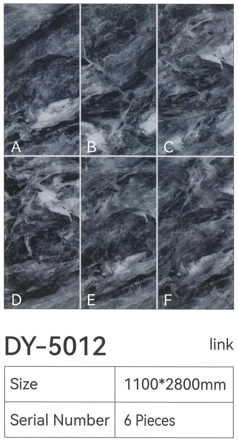 DY-5012