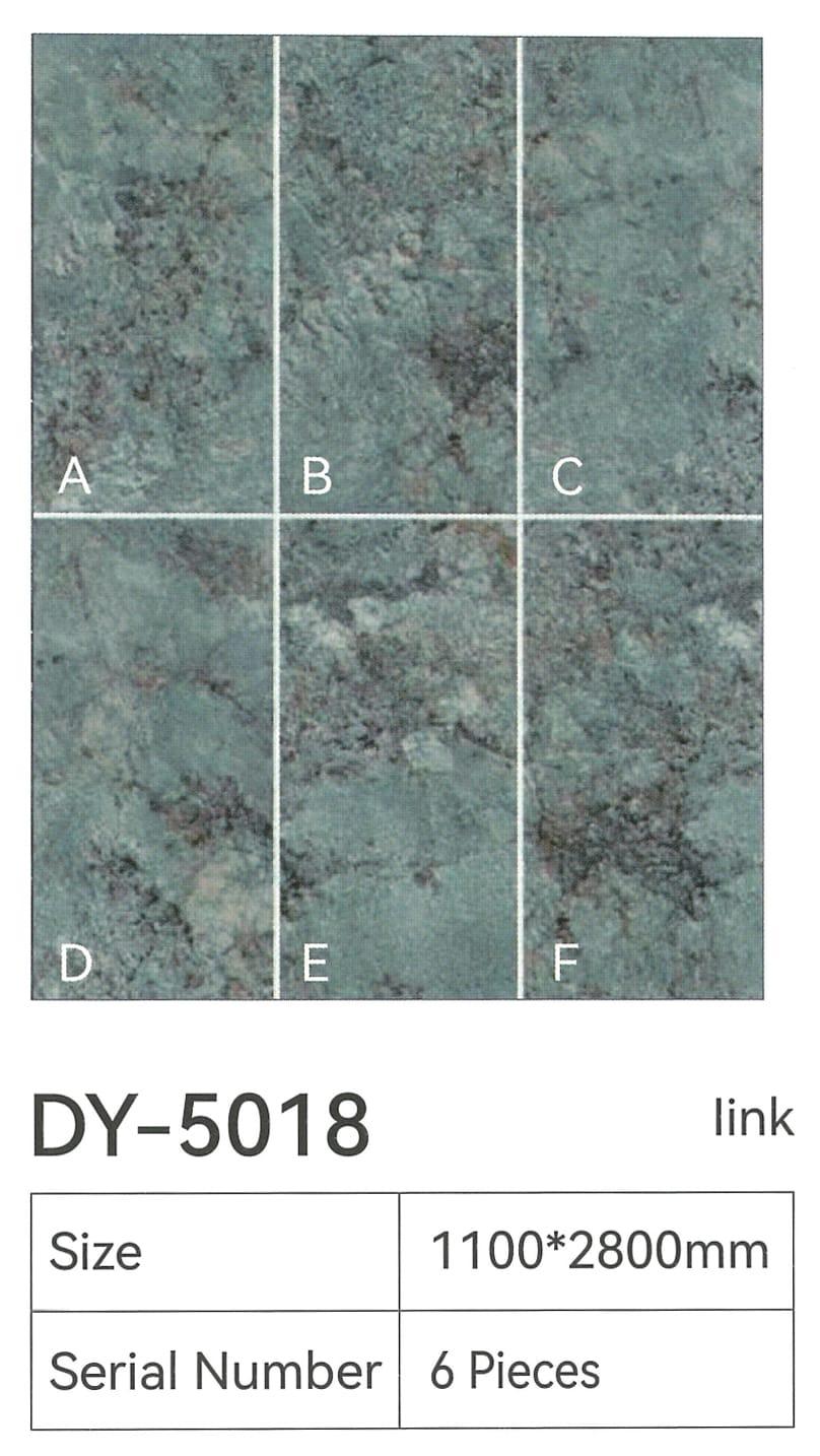 DY-5018
