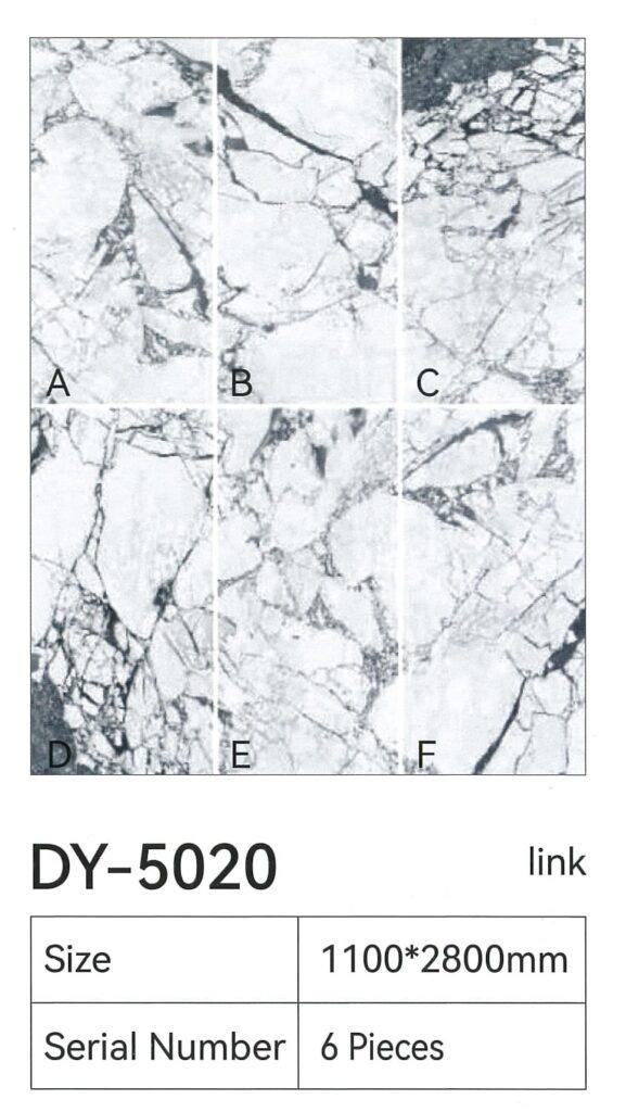 DY-5020