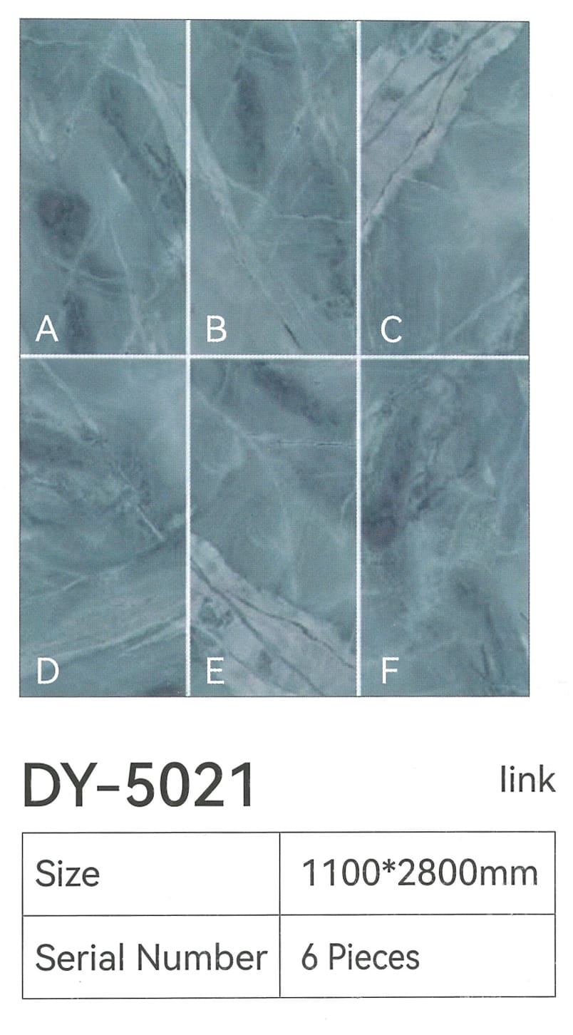 DY-5021
