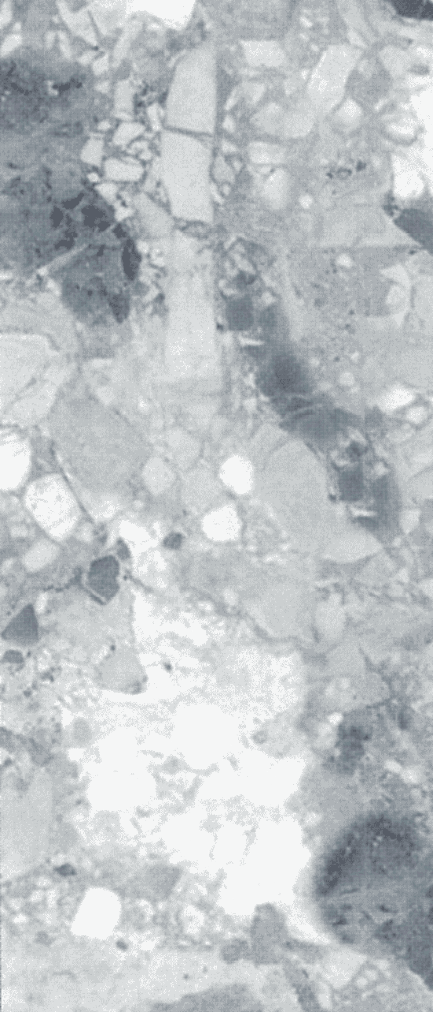 DY-1017